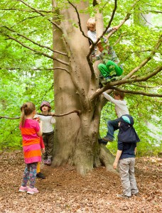 Kinder klettern auf einen Baum